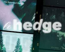 LeHedge