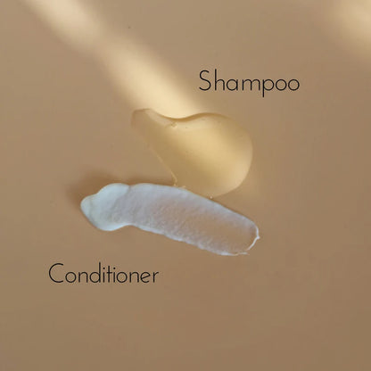 Moisture Balancing Conditioner